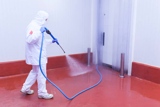 Best Graffiti Removal  in Buena Vista, MI