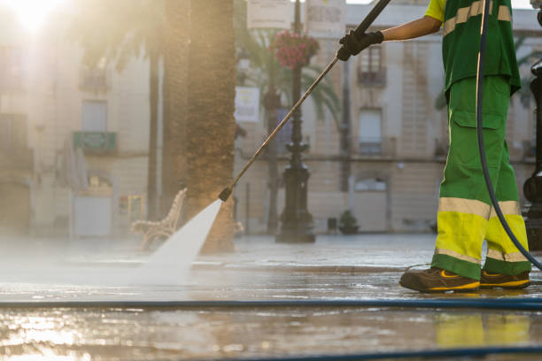 Best Sidewalk and Walkway Cleaning  in Buena Vista, MI